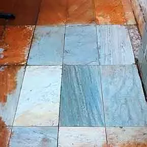 limpadoras tapete Limpeza de Piscina em Embu das Artes